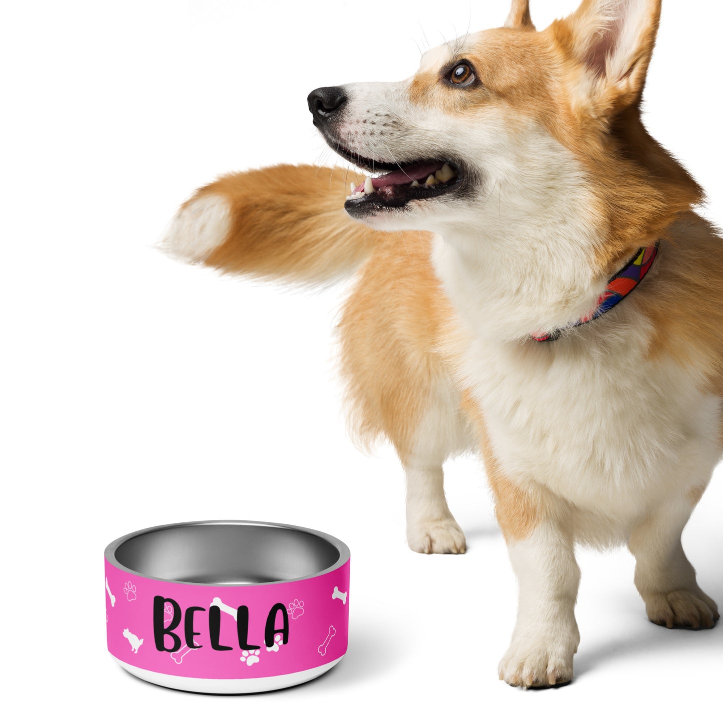 Personalized Pet Bowl